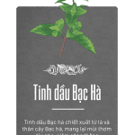 tinh dầu bạc hà