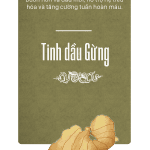 tinh dầu gừng