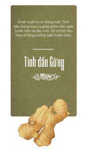 tinh dầu gừng