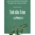 tinh dầu tràm Huế