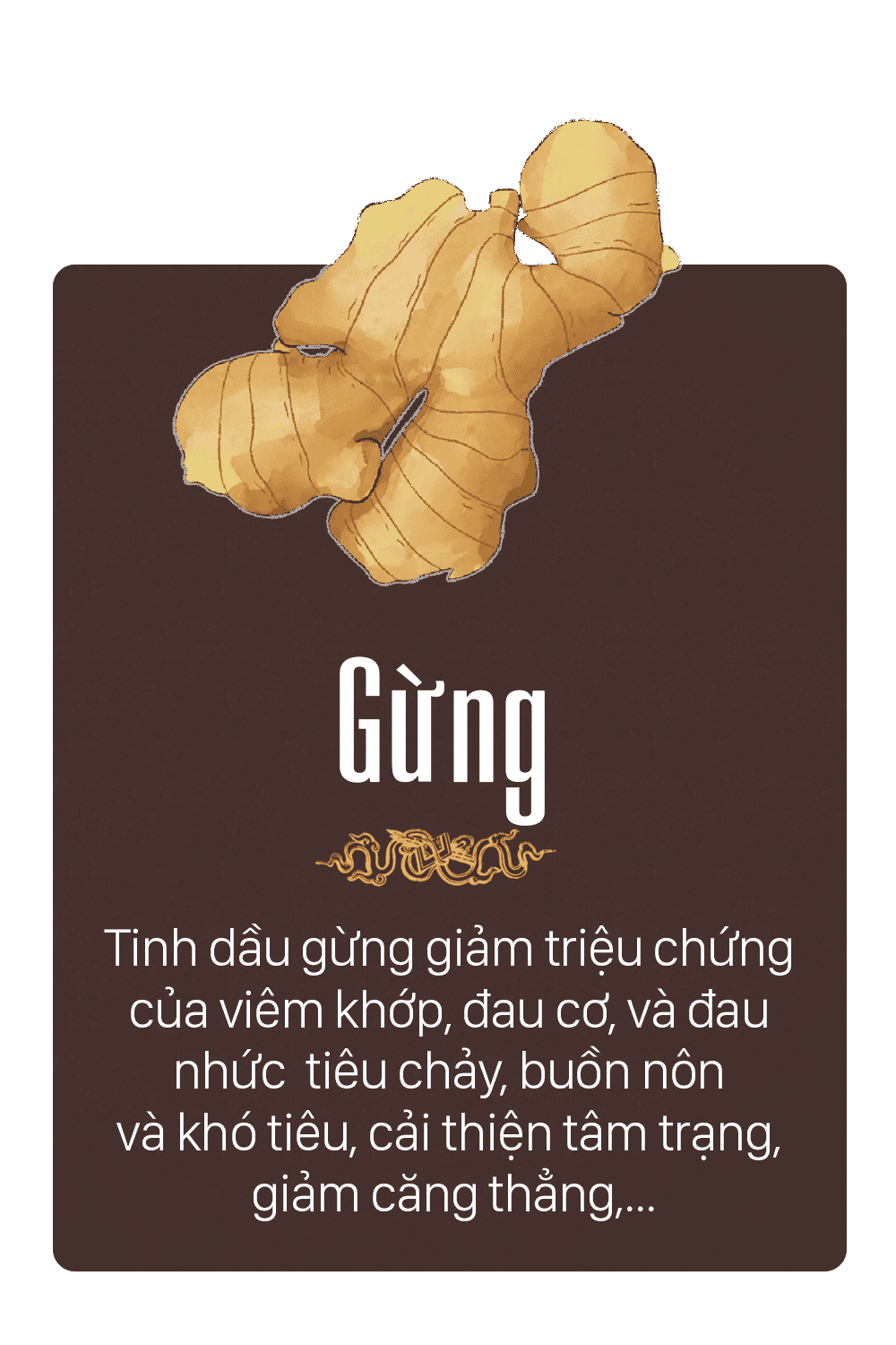 tinh dầu gừng