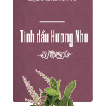 tinh dầu hương nhu