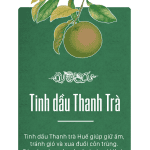 tinh dầu thanh trà