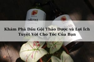 dầu gội thảo dược