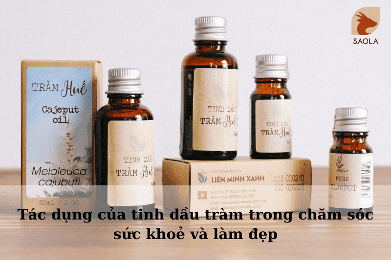 Tác dụng của tinh dầu tràm trong chăm sóc sức khoẻ và làm đẹp