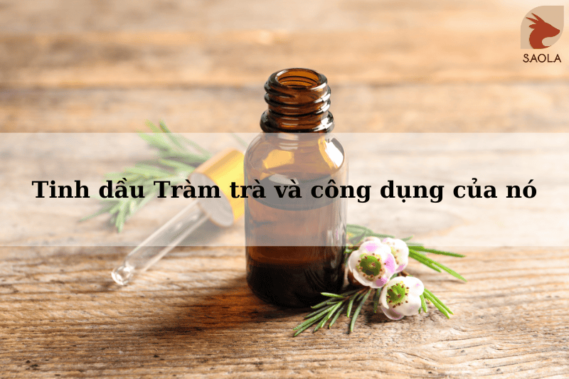 Tinh dầu Tràm trà