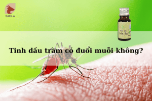 tinh dầu tràm có đuổi muỗi không