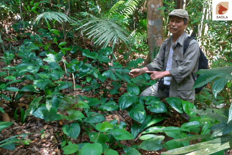 1. Bảo vệ đất