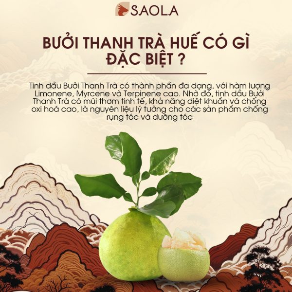 chăm sóc tóc